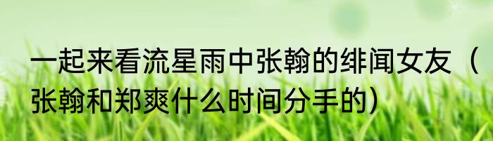 一起来看流星雨中张翰的绯闻女友（张翰和郑爽什么时间分手的）