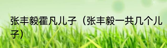 张丰毅霍凡儿子（张丰毅一共几个儿子）