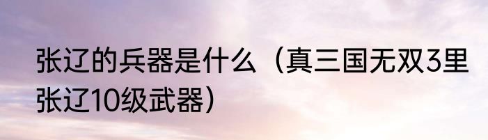 张辽的兵器是什么（真三国无双3里张辽10级武器）