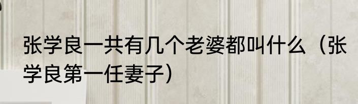 张学良一共有几个老婆都叫什么（张学良第一任妻子）