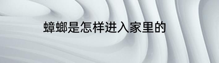 蟑螂是怎样进入家里的