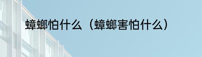 蟑螂怕什么（蟑螂害怕什么）