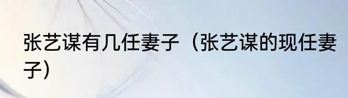 张艺谋有几任妻子（张艺谋的现任妻子）