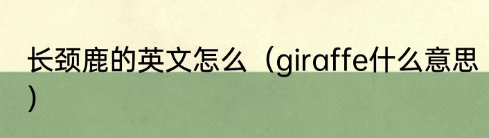 长颈鹿的英文怎么（giraffe什么意思）