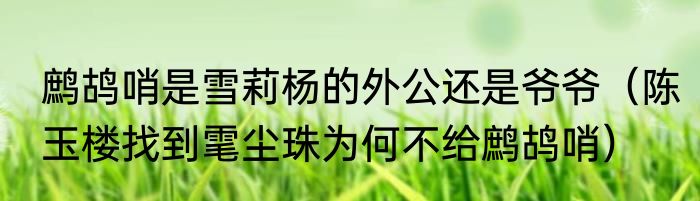 浙江哪里好玩景点排名（飞越浙江好玩吗）