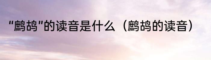 “鹧鸪”的读音是什么（鹧鸪的读音）