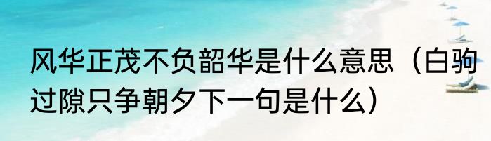 风华正茂不负韶华是什么意思（白驹过隙只争朝夕下一句是什么）