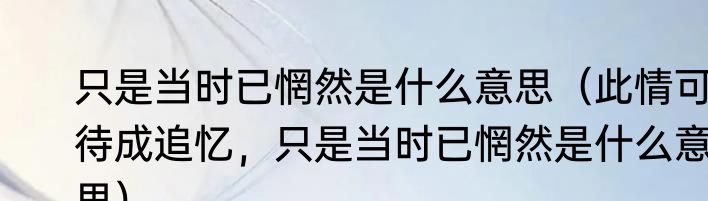 只是当时已惘然是什么意思（此情可待成追忆，只是当时已惘然是什么意思）