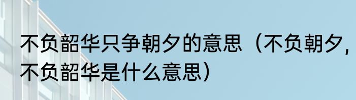 不负韶华只争朝夕的意思（不负朝夕,不负韶华是什么意思）
