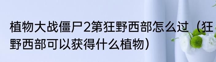 植物大战僵尸2第狂野西部怎么过（狂野西部可以获得什么植物）