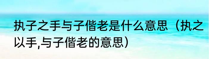 执子之手与子偕老是什么意思（执之以手,与子偕老的意思）