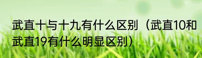 武直十与十九有什么区别（武直10和武直19有什么明显区别）