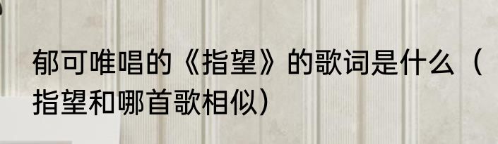 郁可唯唱的《指望》的歌词是什么（指望和哪首歌相似）