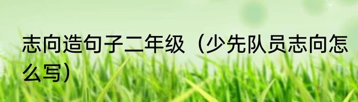 志向造句子二年级（少先队员志向怎么写）