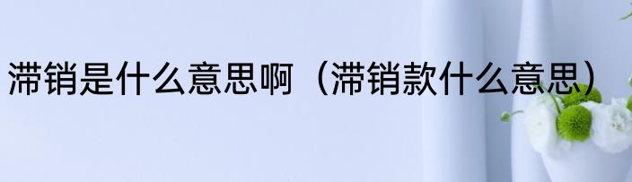 滞销是什么意思啊（滞销款什么意思）