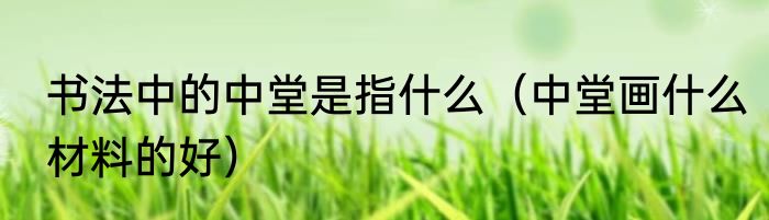 书法中的中堂是指什么（中堂画什么材料的好）