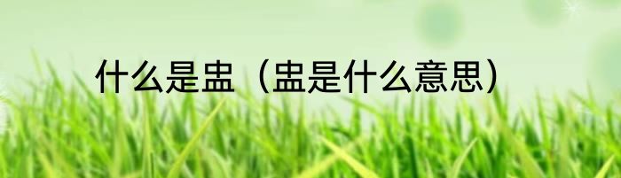 什么是盅（盅是什么意思）
