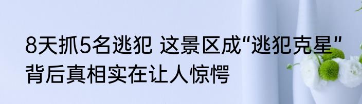 8天抓5名逃犯 这景区成“逃犯克星” 背后真相实在让人惊愕