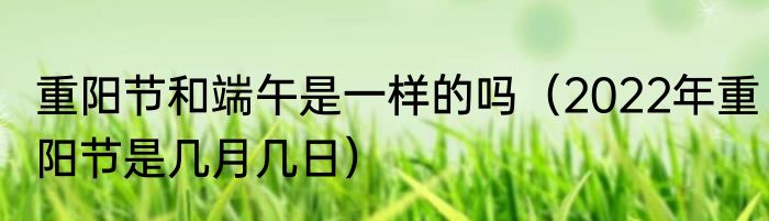 重阳节和端午是一样的吗（2022年重阳节是几月几日）