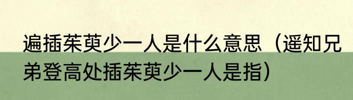 遍插茱萸少一人是什么意思（遥知兄弟登高处插茱萸少一人是指）