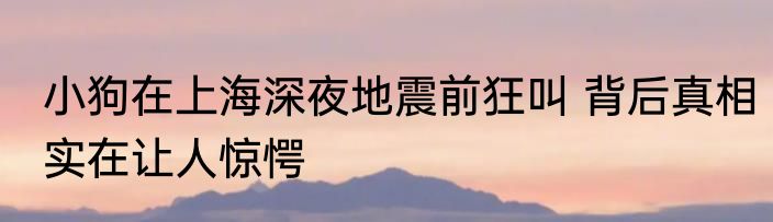 小狗在上海深夜地震前狂叫 背后真相实在让人惊愕