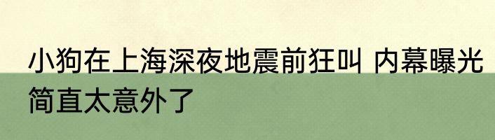 小狗在上海深夜地震前狂叫 内幕曝光简直太意外了