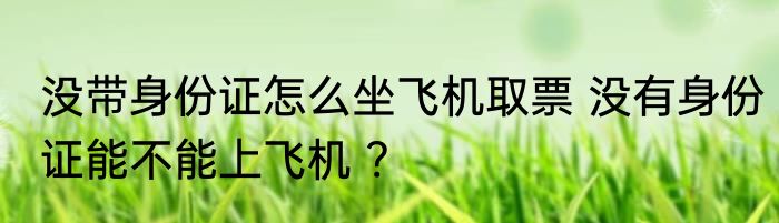 没带身份证怎么坐飞机取票 没有身份证能不能上飞机 ?