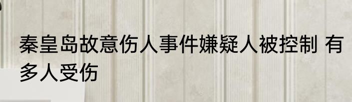 秦皇岛故意伤人事件嫌疑人被控制 有多人受伤