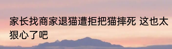 家长找商家退猫遭拒把猫摔死 这也太狠心了吧