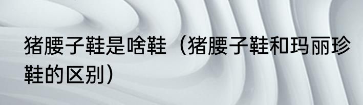 猪腰子鞋是啥鞋（猪腰子鞋和玛丽珍鞋的区别）