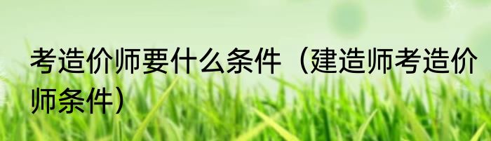 考造价师要什么条件（建造师考造价师条件）