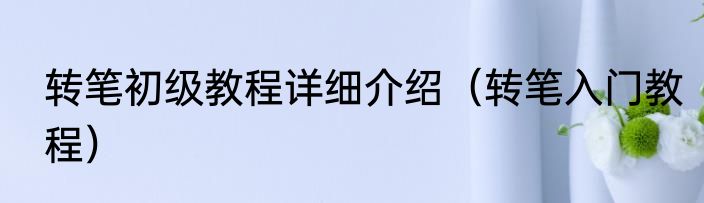 转笔初级教程详细介绍（转笔入门教程）
