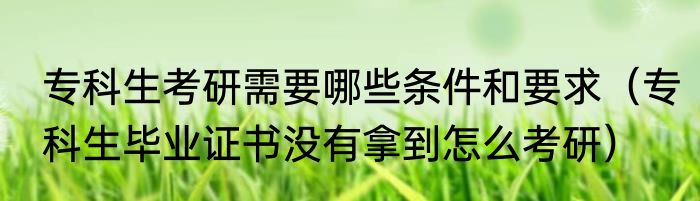 专科生考研需要哪些条件和要求（专科生毕业证书没有拿到怎么考研）