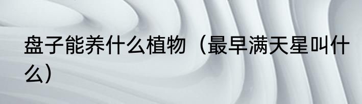 盘子能养什么植物（最早满天星叫什么）
