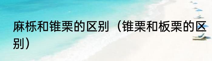 麻栎和锥栗的区别（锥栗和板栗的区别）