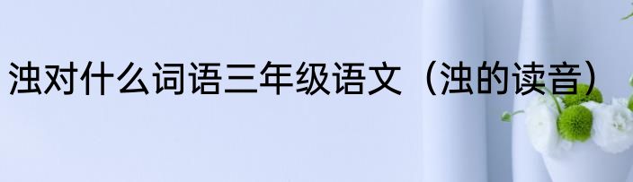 浊对什么词语三年级语文（浊的读音）