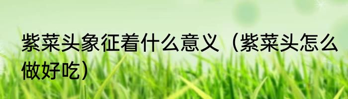 紫菜头象征着什么意义（紫菜头怎么做好吃）