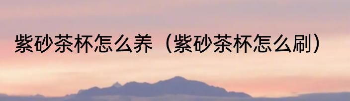 紫砂茶杯怎么养（紫砂茶杯怎么刷）