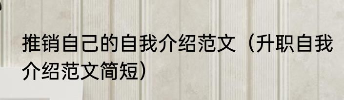 推销自己的自我介绍范文（升职自我介绍范文简短）