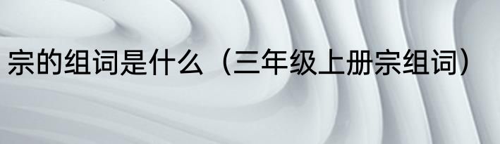 宗的组词是什么（三年级上册宗组词）