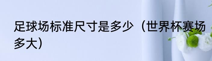 足球场标准尺寸是多少（世界杯赛场多大）