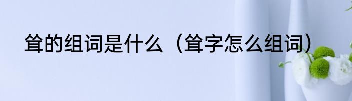 耸的组词是什么（耸字怎么组词）
