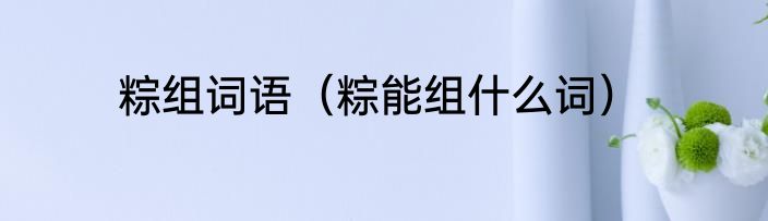 粽组词语（粽能组什么词）
