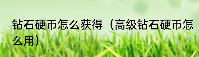 钻石硬币怎么获得（高级钻石硬币怎么用）