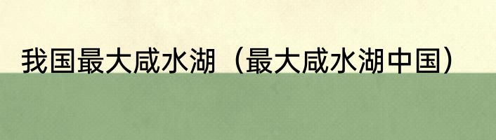 我国最大咸水湖（最大咸水湖中国）