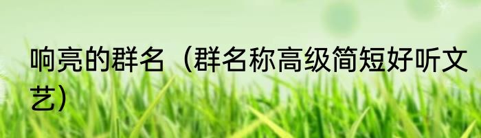 响亮的群名（群名称高级简短好听文艺）