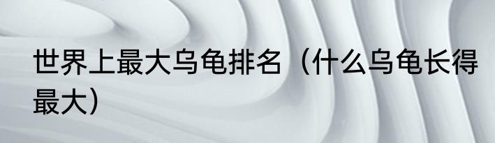 世界上最大乌龟排名（什么乌龟长得最大）