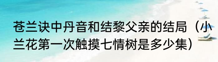 苍兰诀中丹音和结黎父亲的结局（小兰花第一次触摸七情树是多少集）