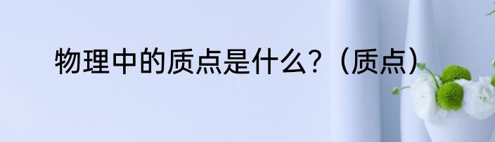 物理中的质点是什么?（质点）