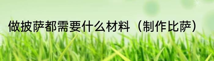 做披萨都需要什么材料（制作比萨）